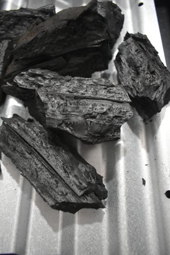 Black Charcoal - Hình ảnh 6