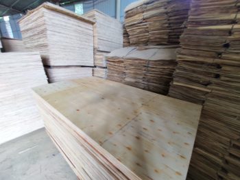 LVL Plywood: - Hình ảnh 4