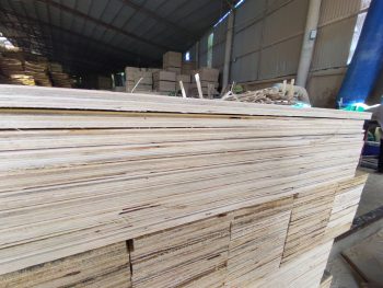 LVL Plywood: - Hình ảnh 2