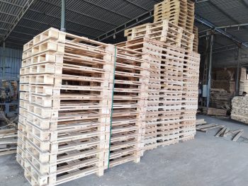 Acacia Pallet: - Hình ảnh 3