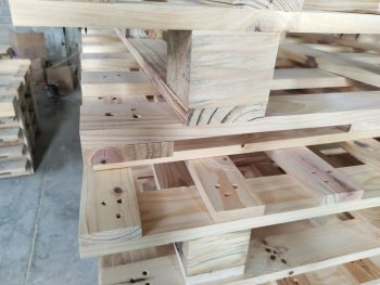 Pine Pallet: - Hình ảnh 3