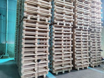 Pine Pallet: - Hình ảnh 4