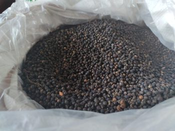 Black Pepper